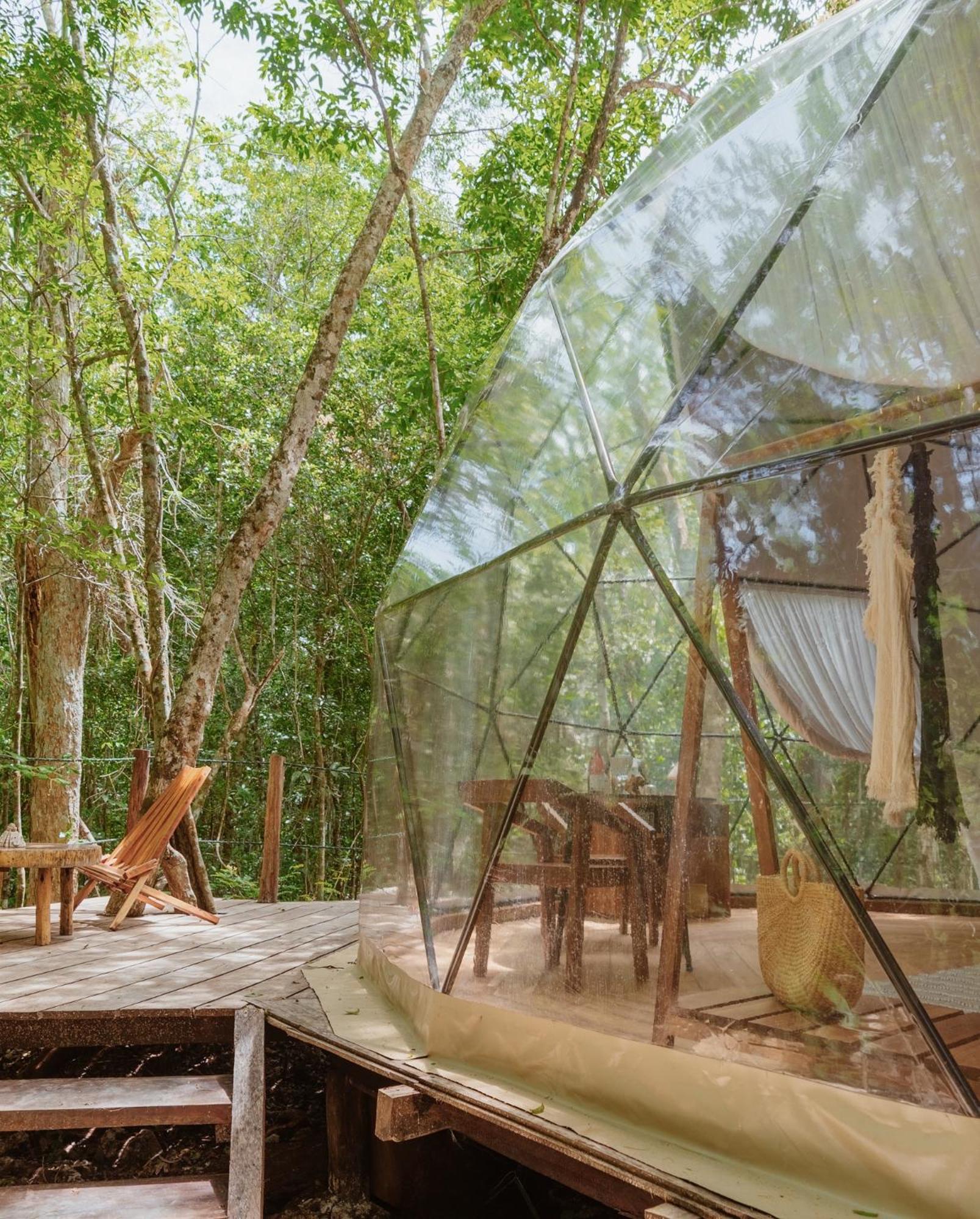 Amaite Geodesic Domes