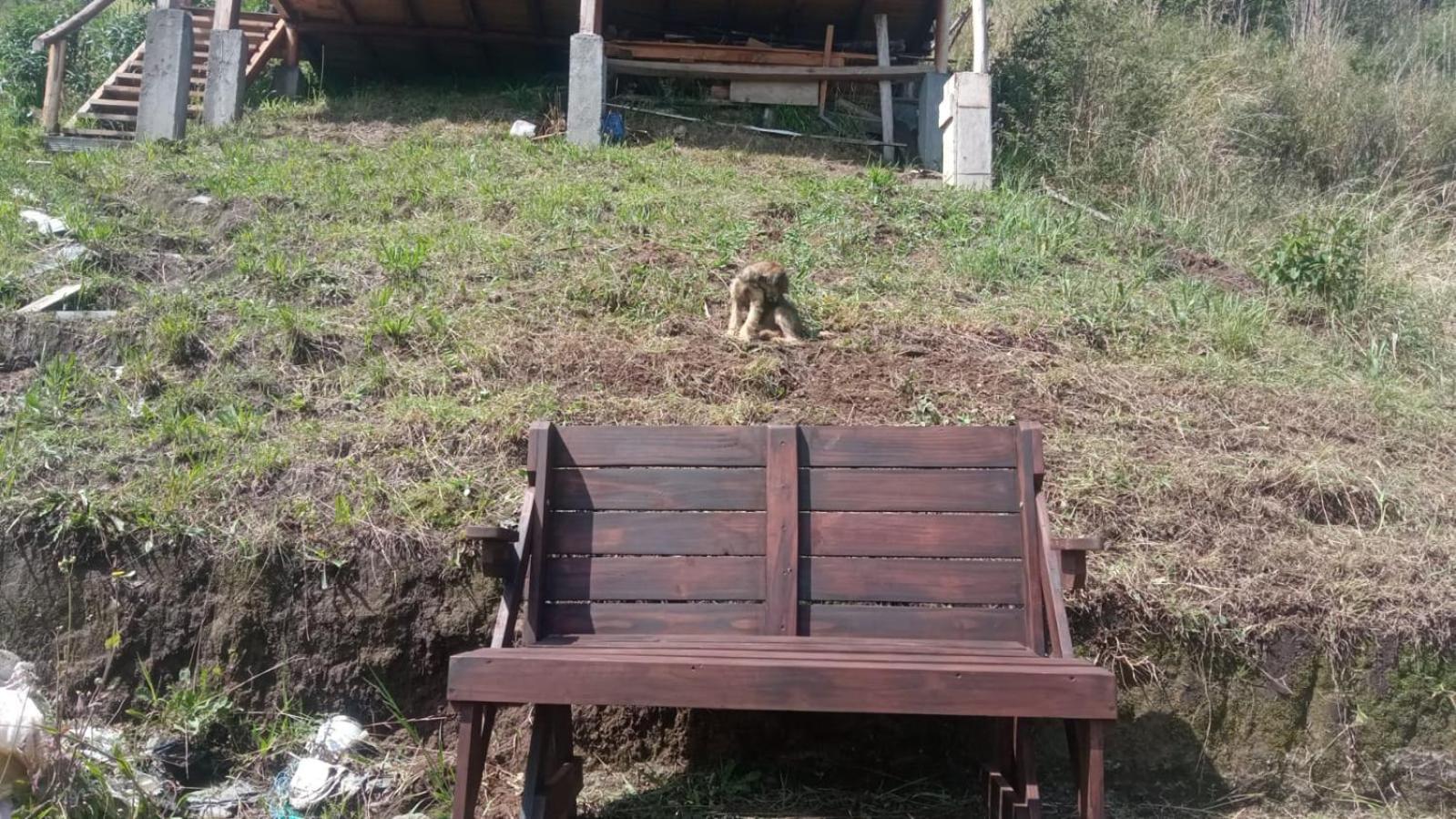 Picnic del Ilalo