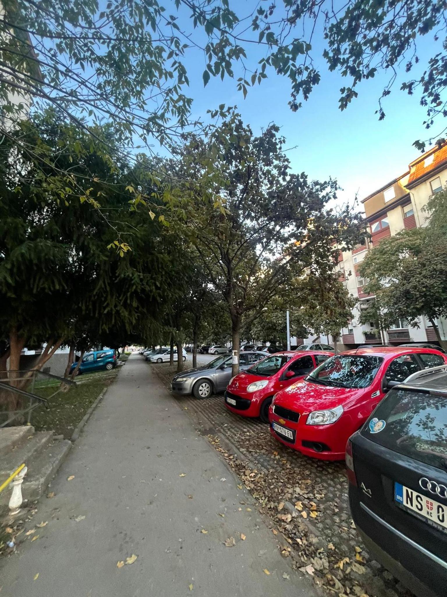 Photo 13