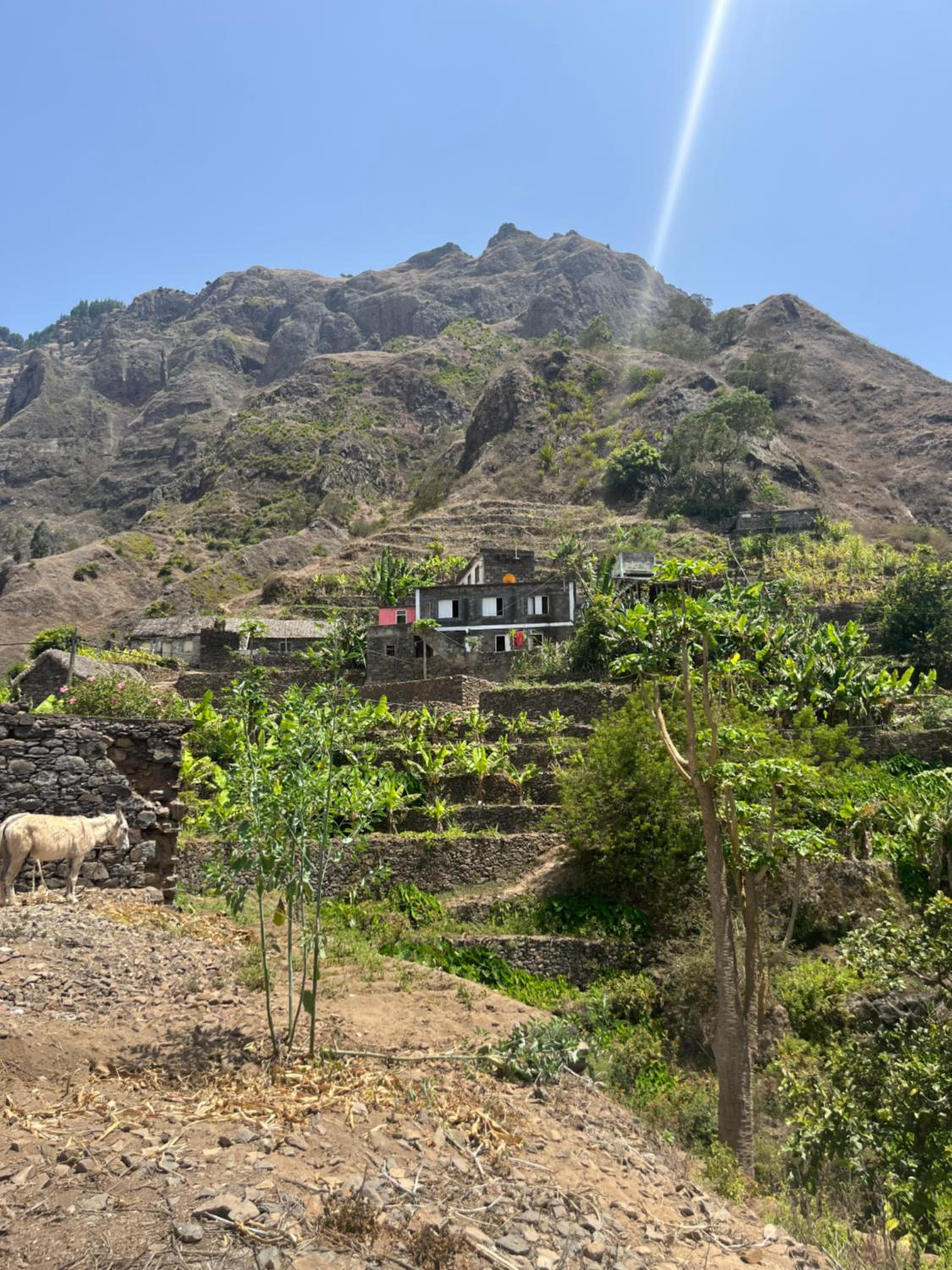Casa Branca