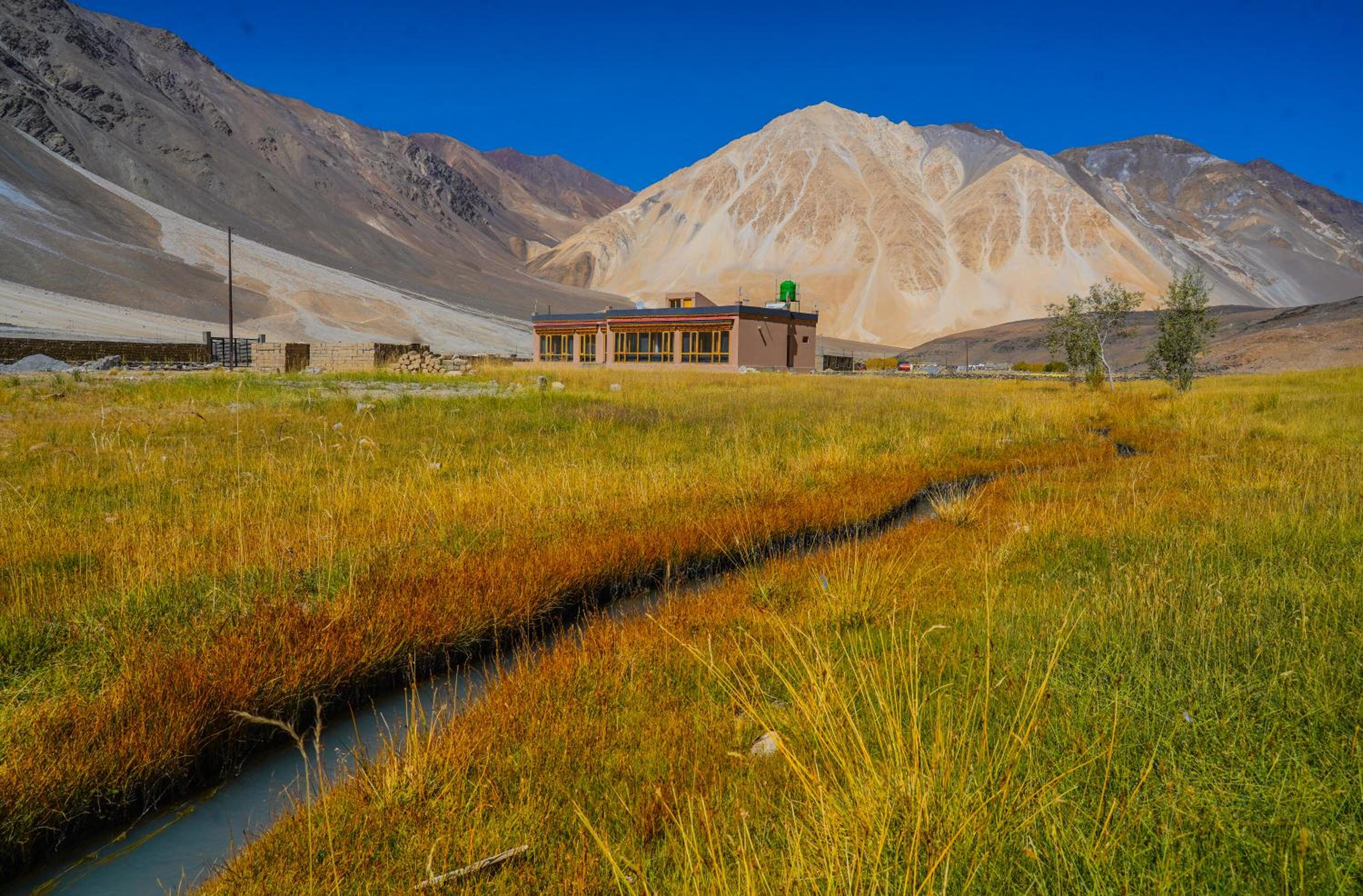 Eco Resident Pangong