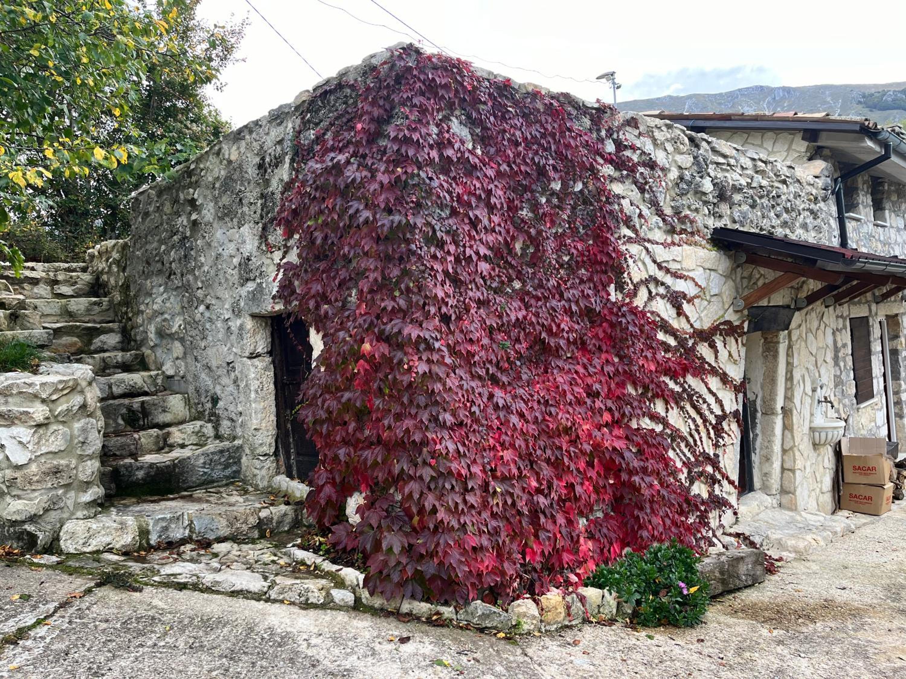 CASA MUPI view 5