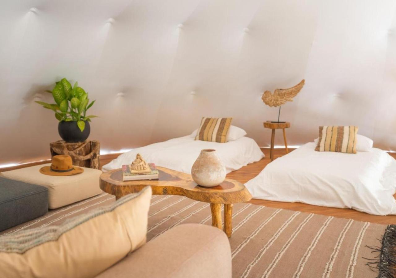 Amaite Geodesic Domes