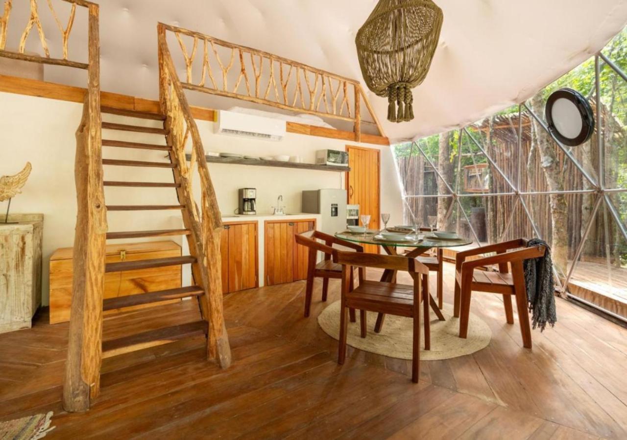 Amaite Geodesic Domes