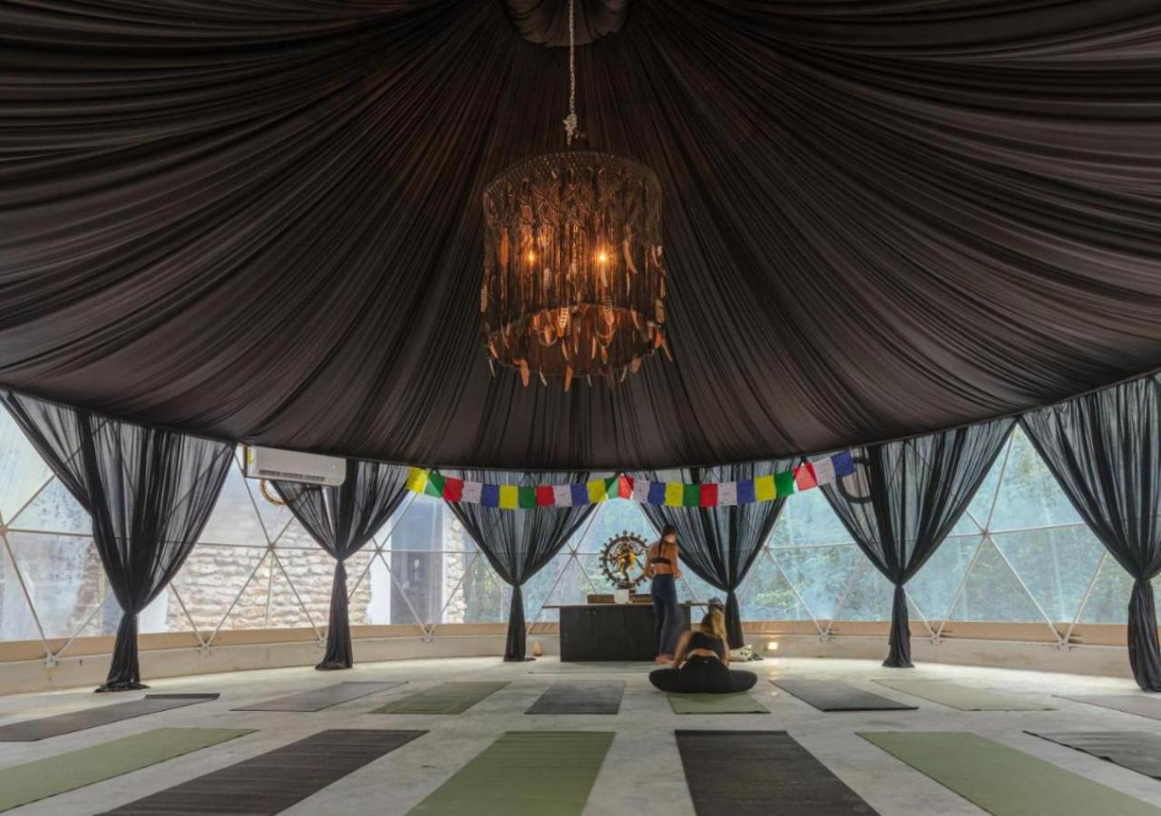Amaite Geodesic Domes