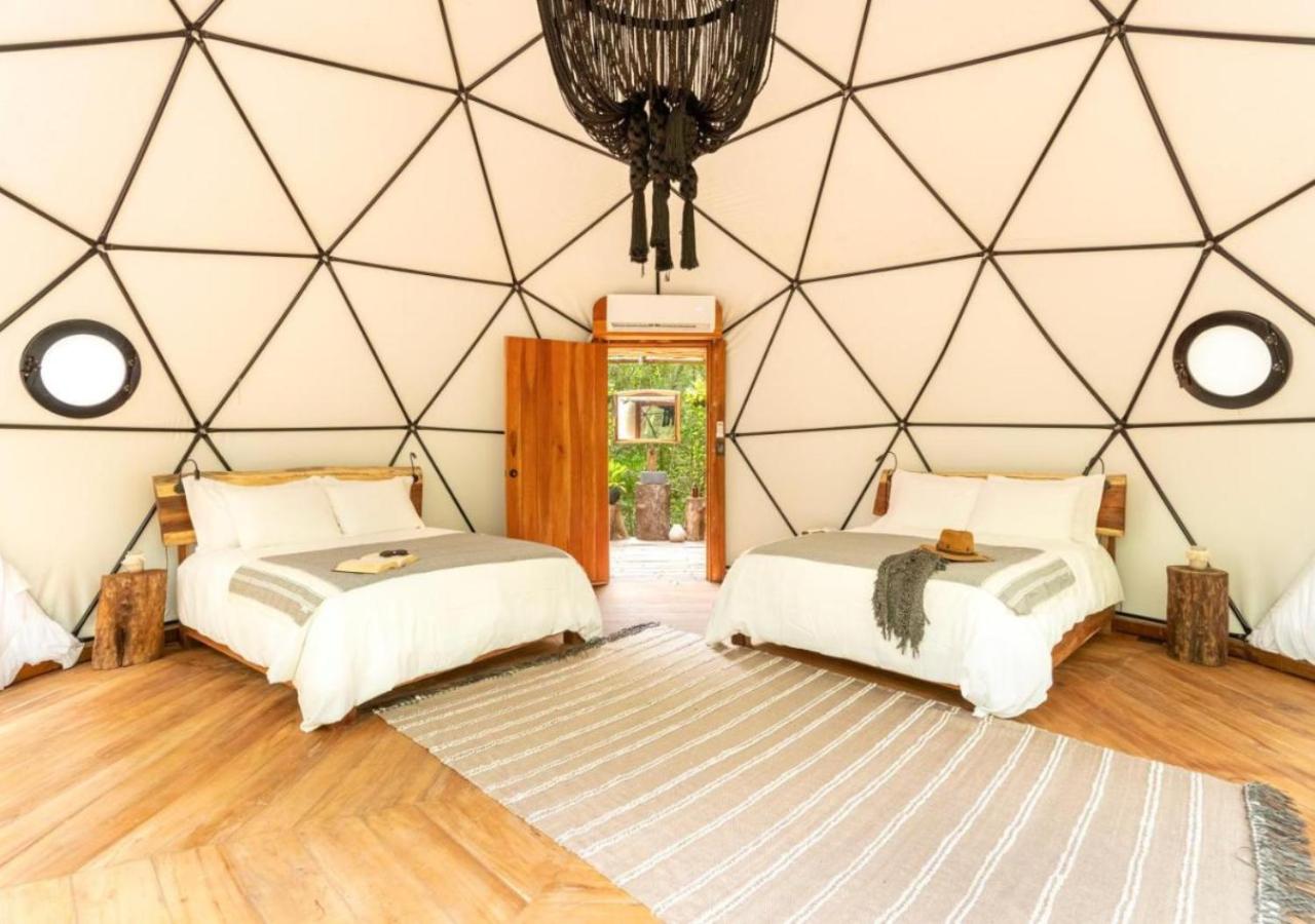 Amaite Geodesic Domes
