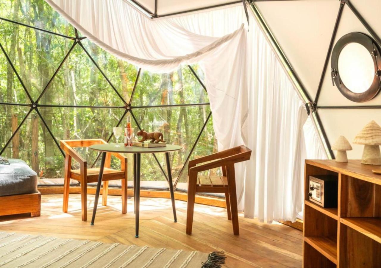 Amaite Geodesic Domes