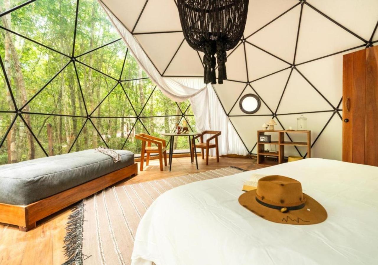 Amaite Geodesic Domes