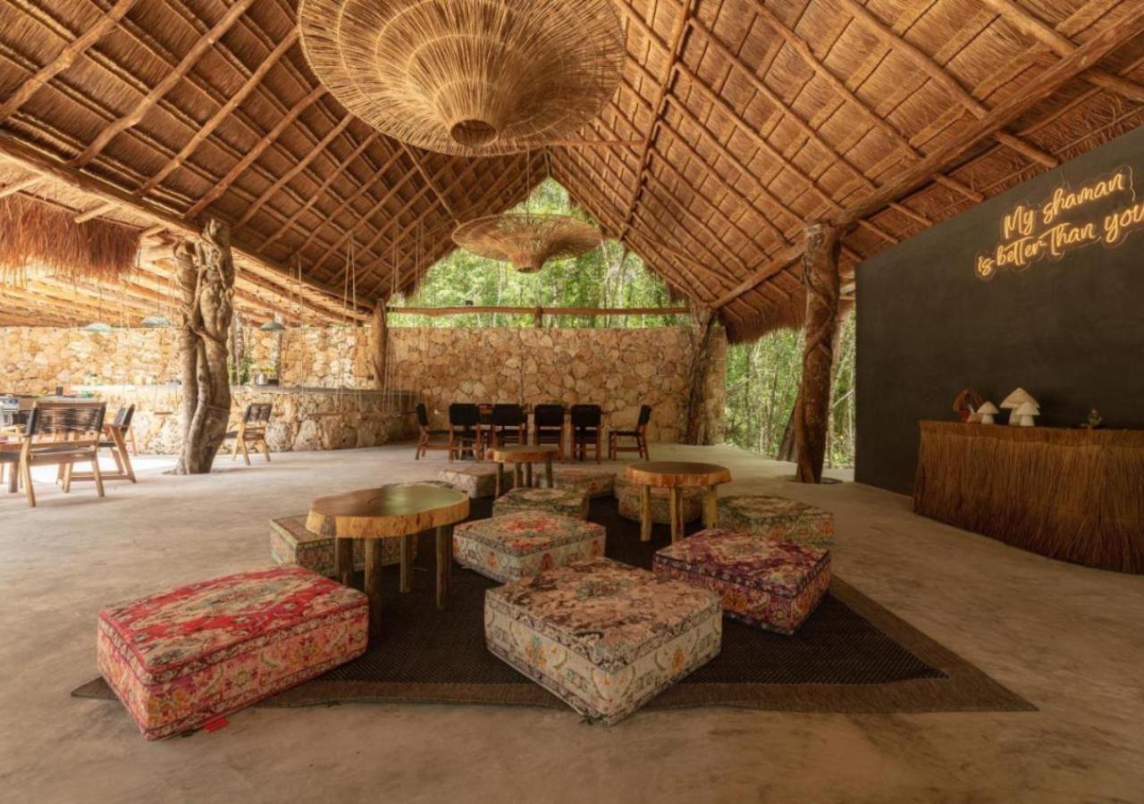 Amaite Geodesic Domes