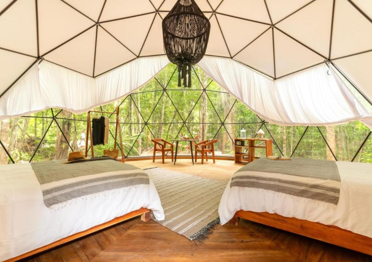 Amaite Geodesic Domes