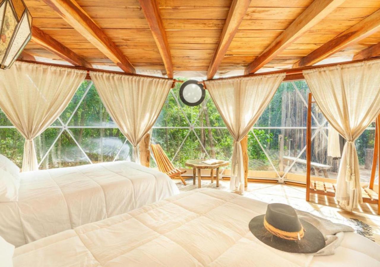 Amaite Geodesic Domes