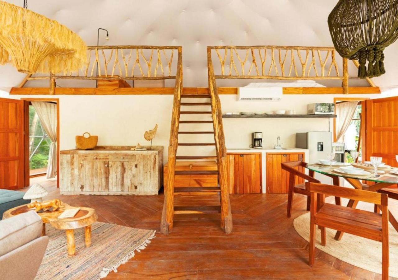Amaite Geodesic Domes