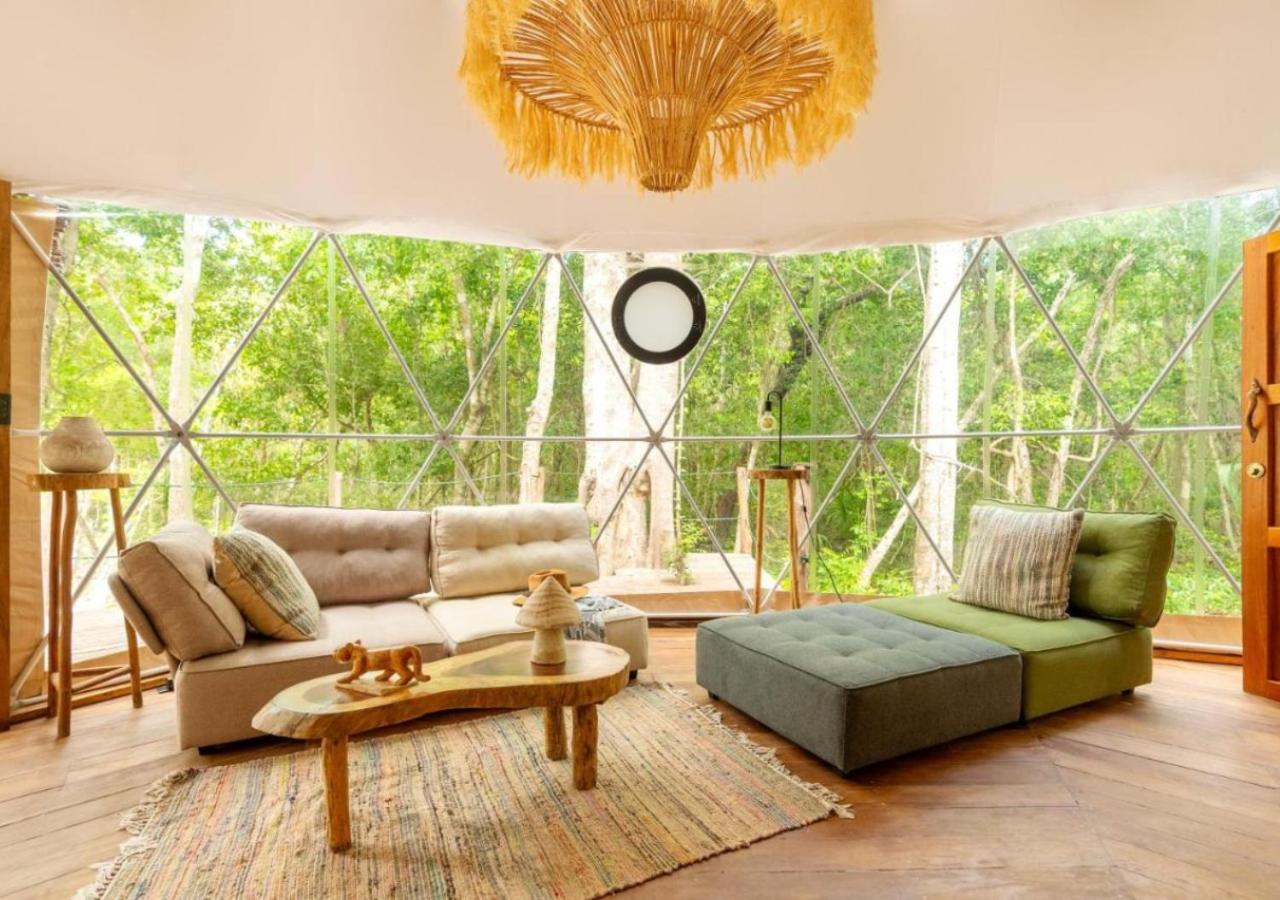 Amaite Geodesic Domes