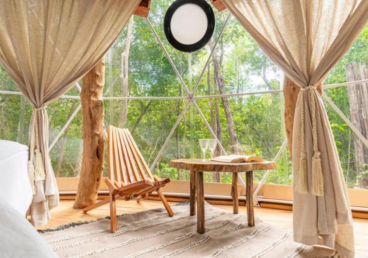 Amaite Geodesic Domes