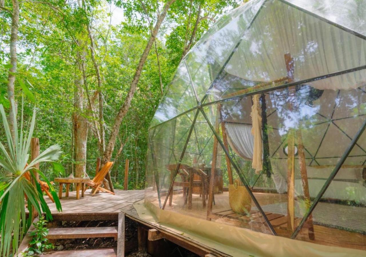 Amaite Geodesic Domes