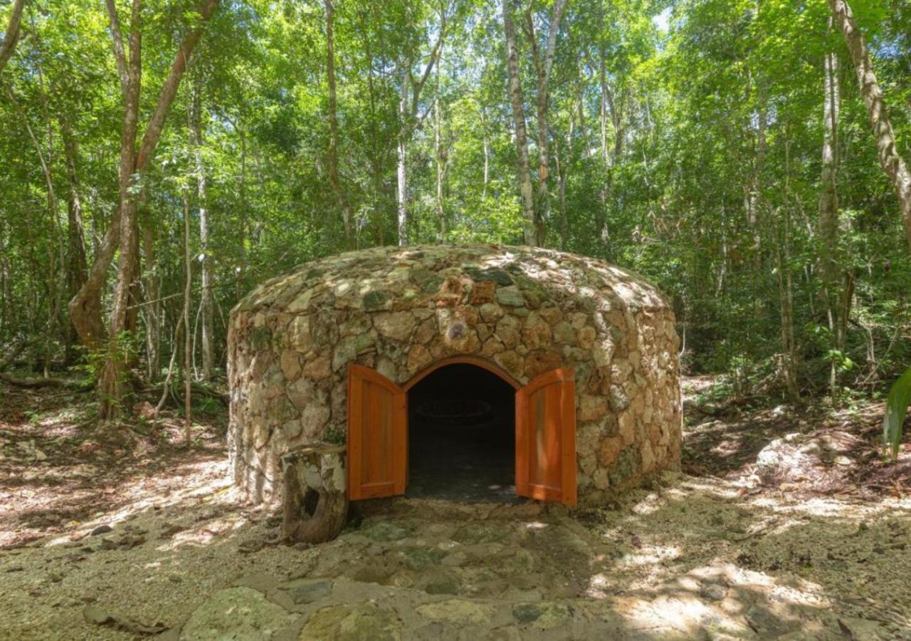 Amaite Geodesic Domes