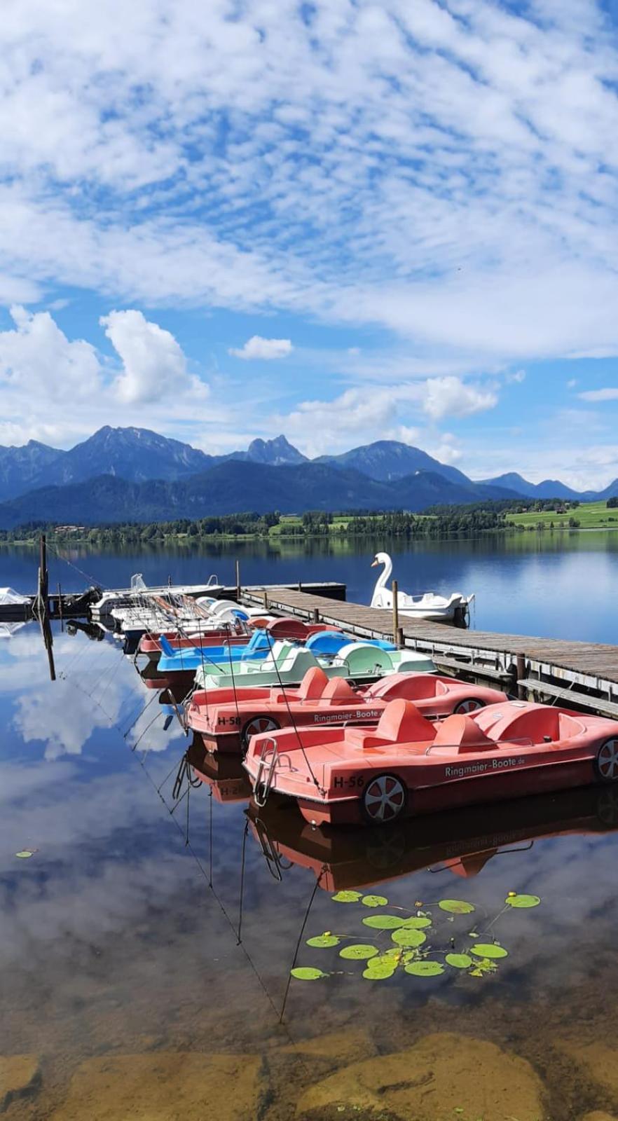 Ferienhaus Mayr - Ferienwohnung Bergblick