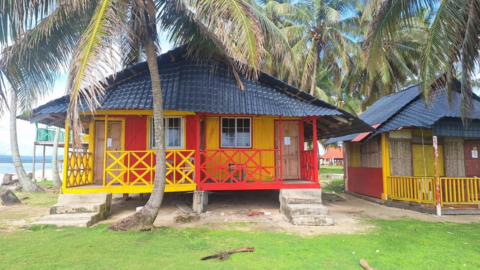 Coconut Paradise
