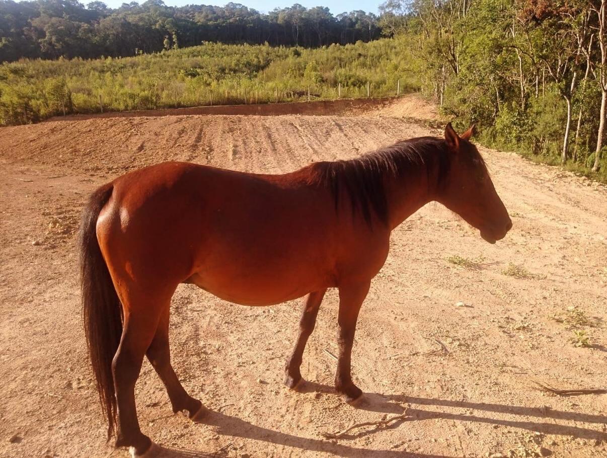 Casa de Campo #Rancho pela saco
