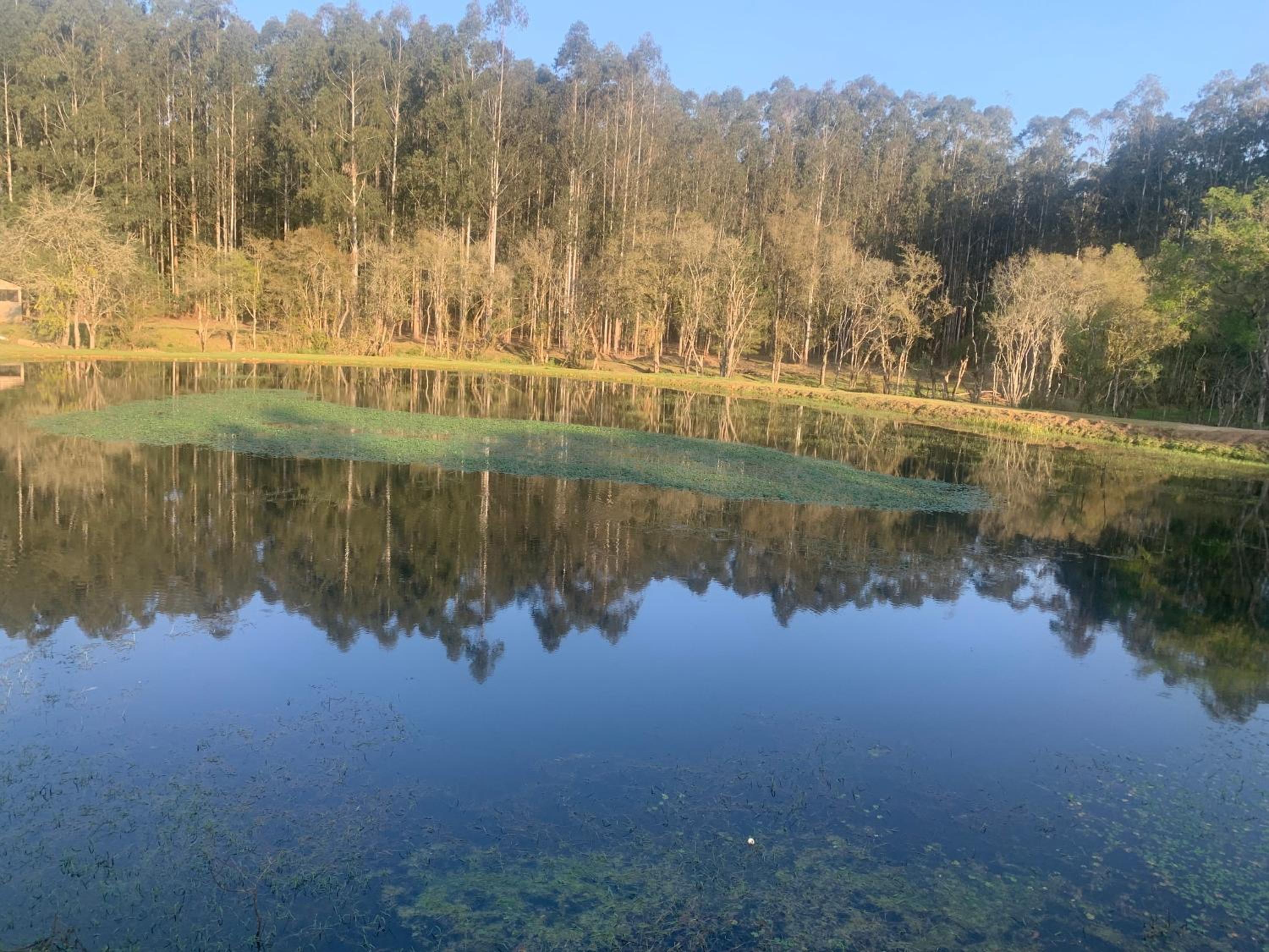 Casa de Campo #Rancho pela saco