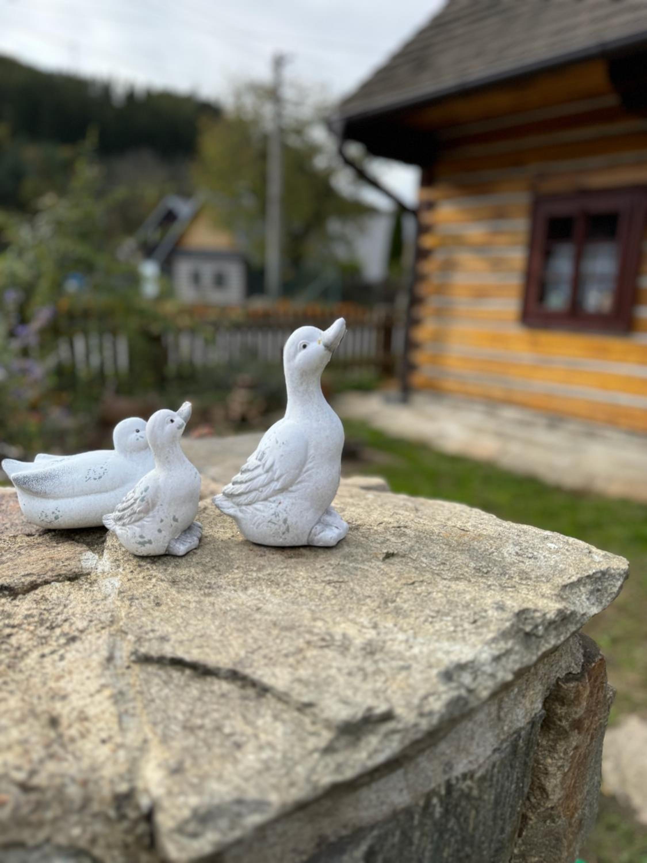Roubenka Vír
