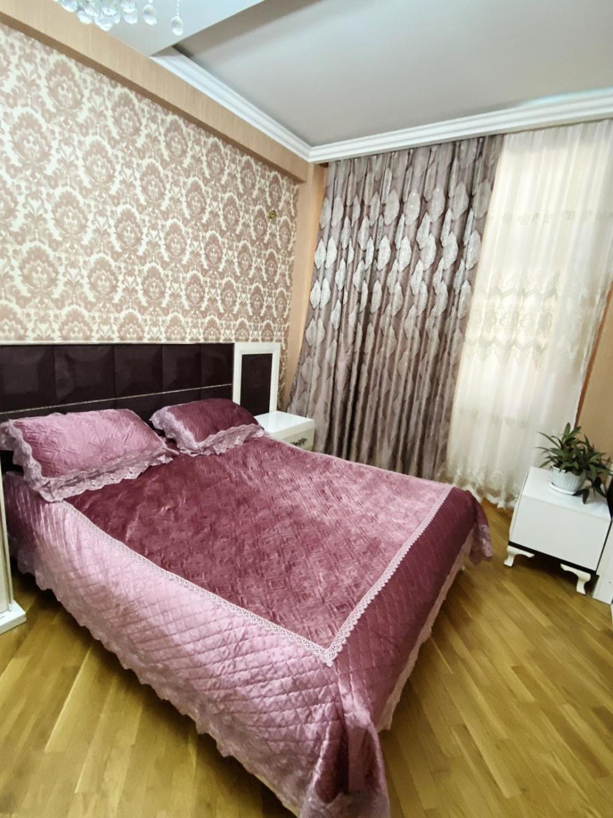 Cozy apartment for COP29