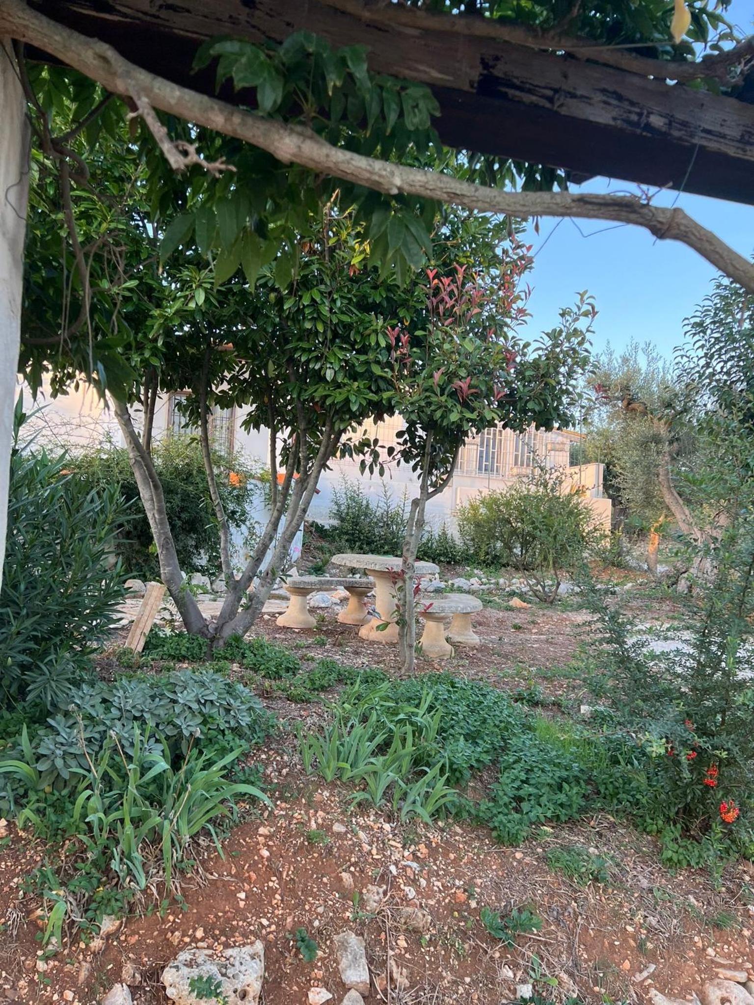 Photo 26