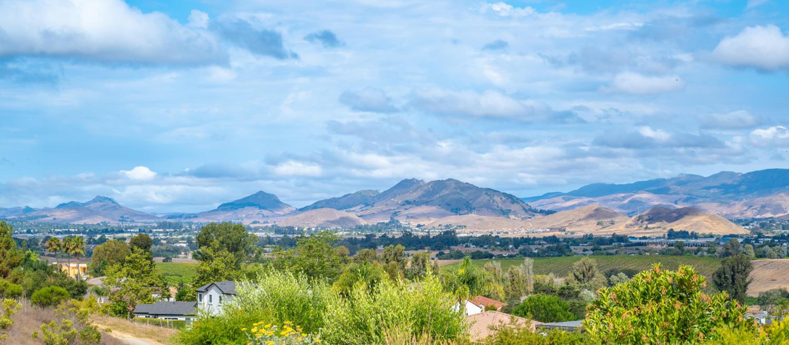 Cozy house in Edna Valley wine country near SLO view 4