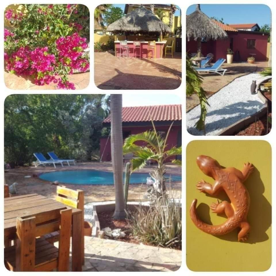 Caya Luna Apartments
