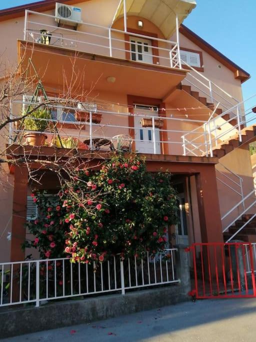 Apartment Mimica