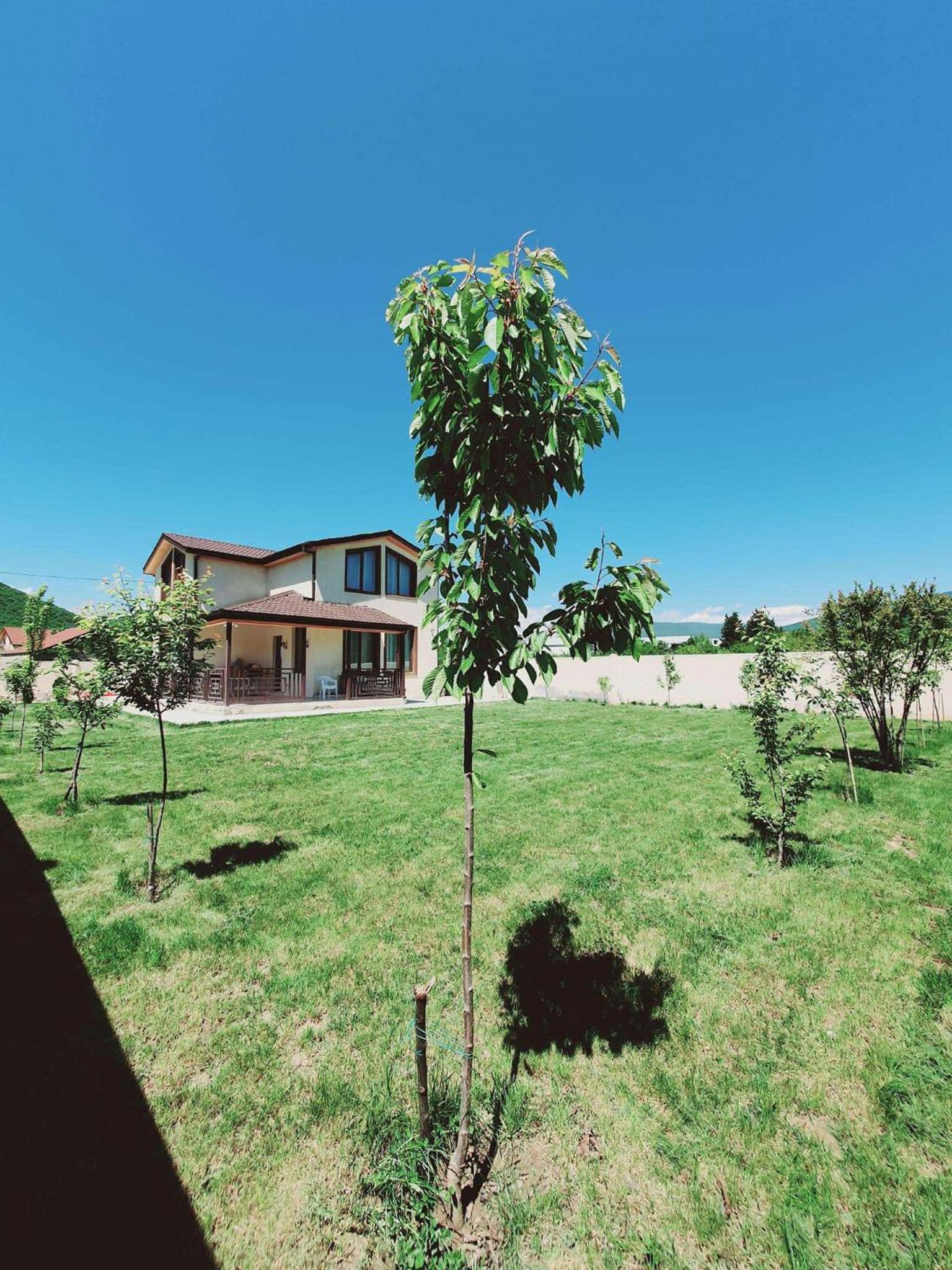 River Side Villa view 3