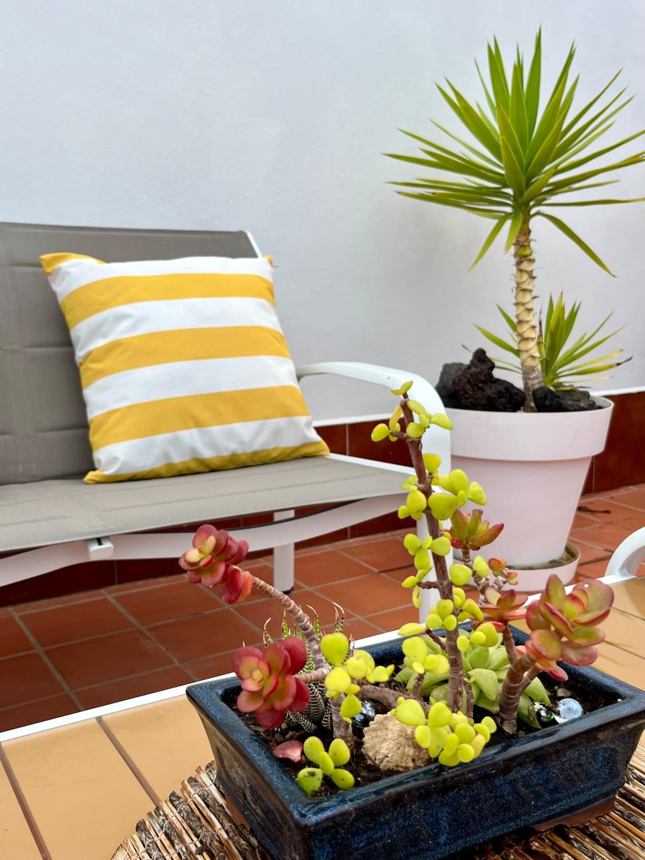Apartamentos Los Verodes
