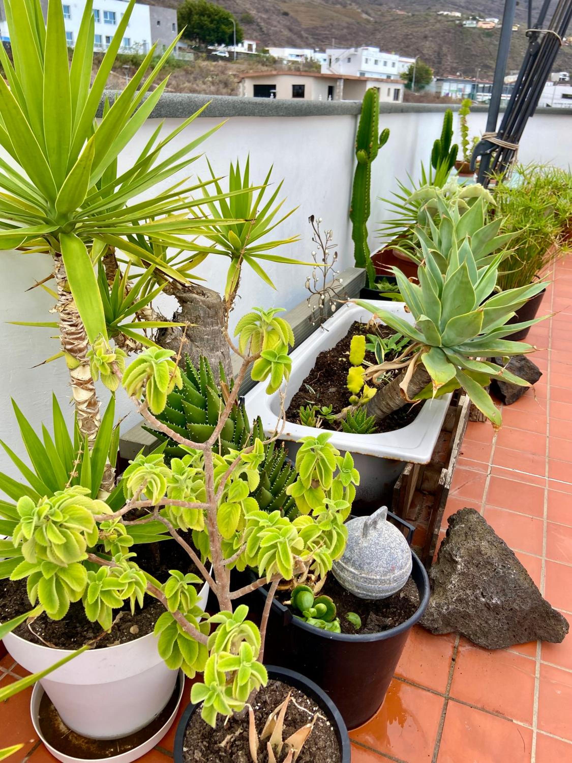 Apartamentos Los Verodes