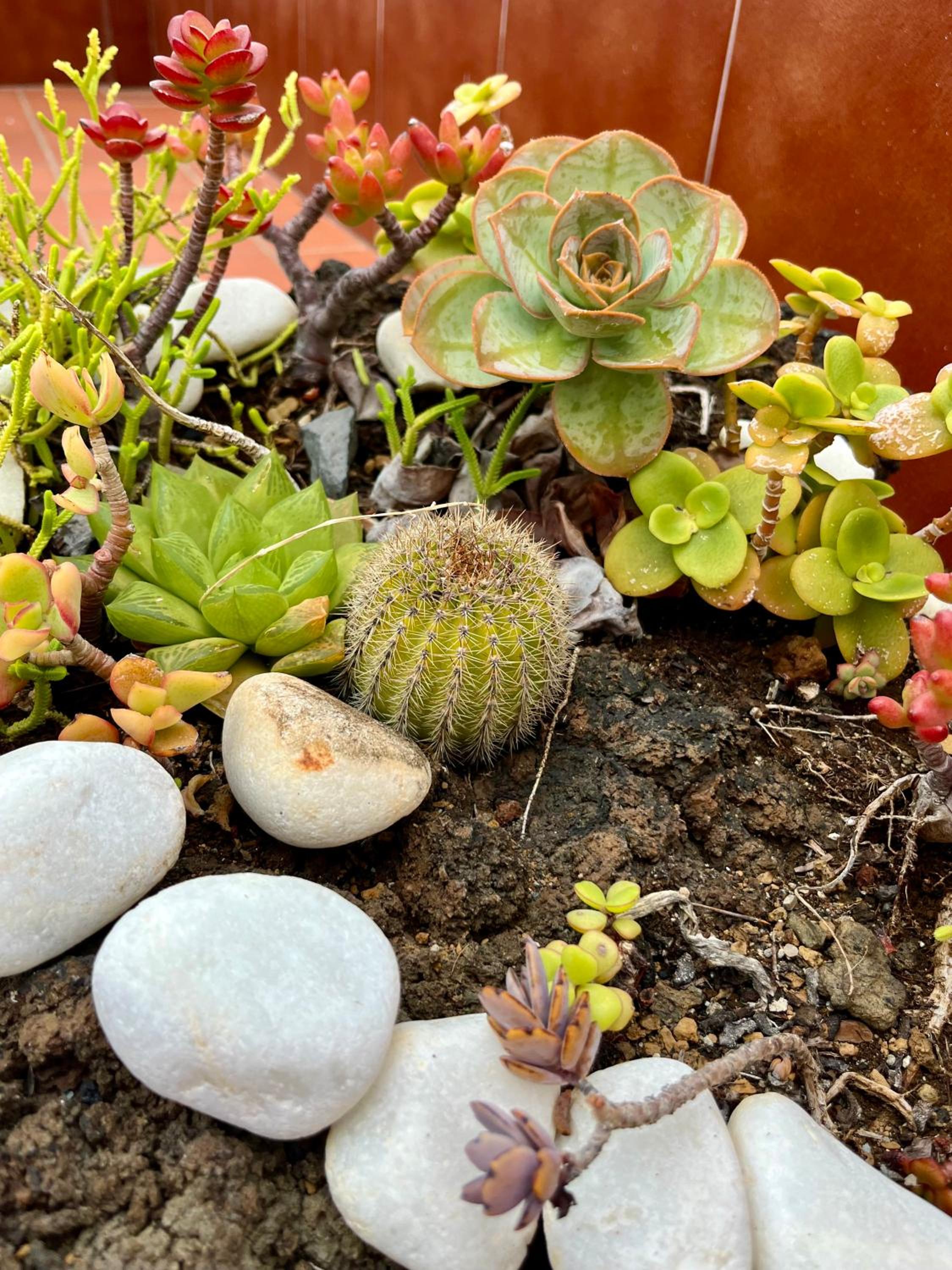 Apartamentos Los Verodes
