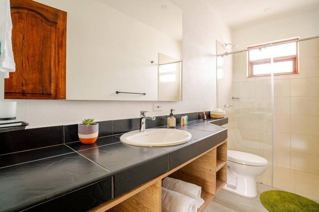 Apartamentos - Villa Santa Ana Premium