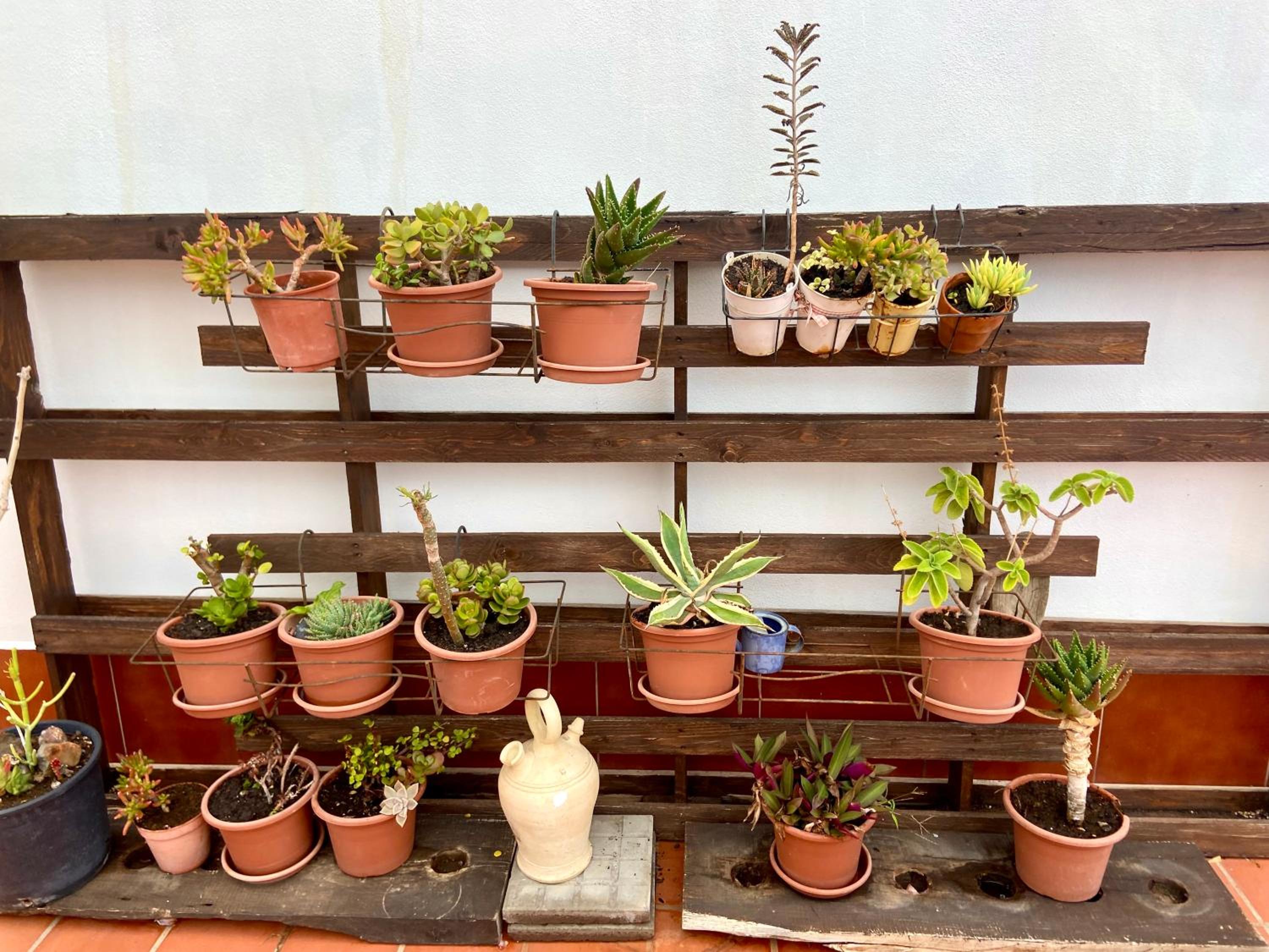 Apartamentos Los Verodes