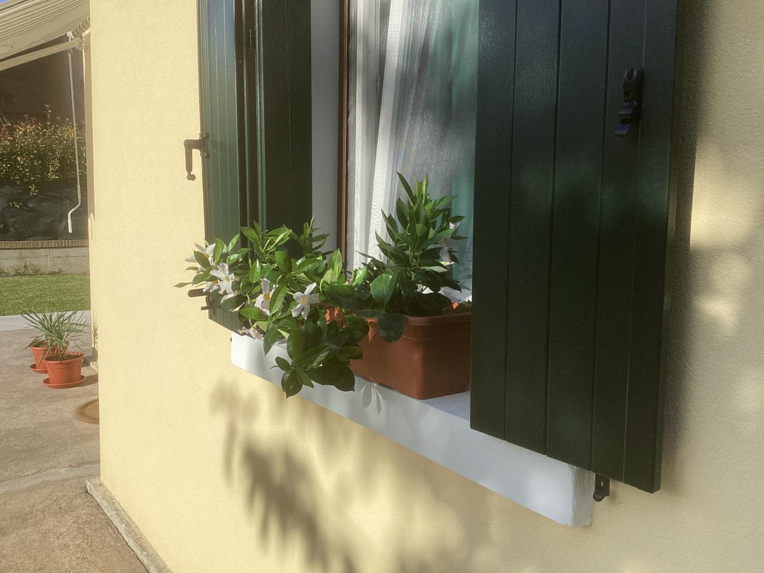 La Casa Gialla photo 5