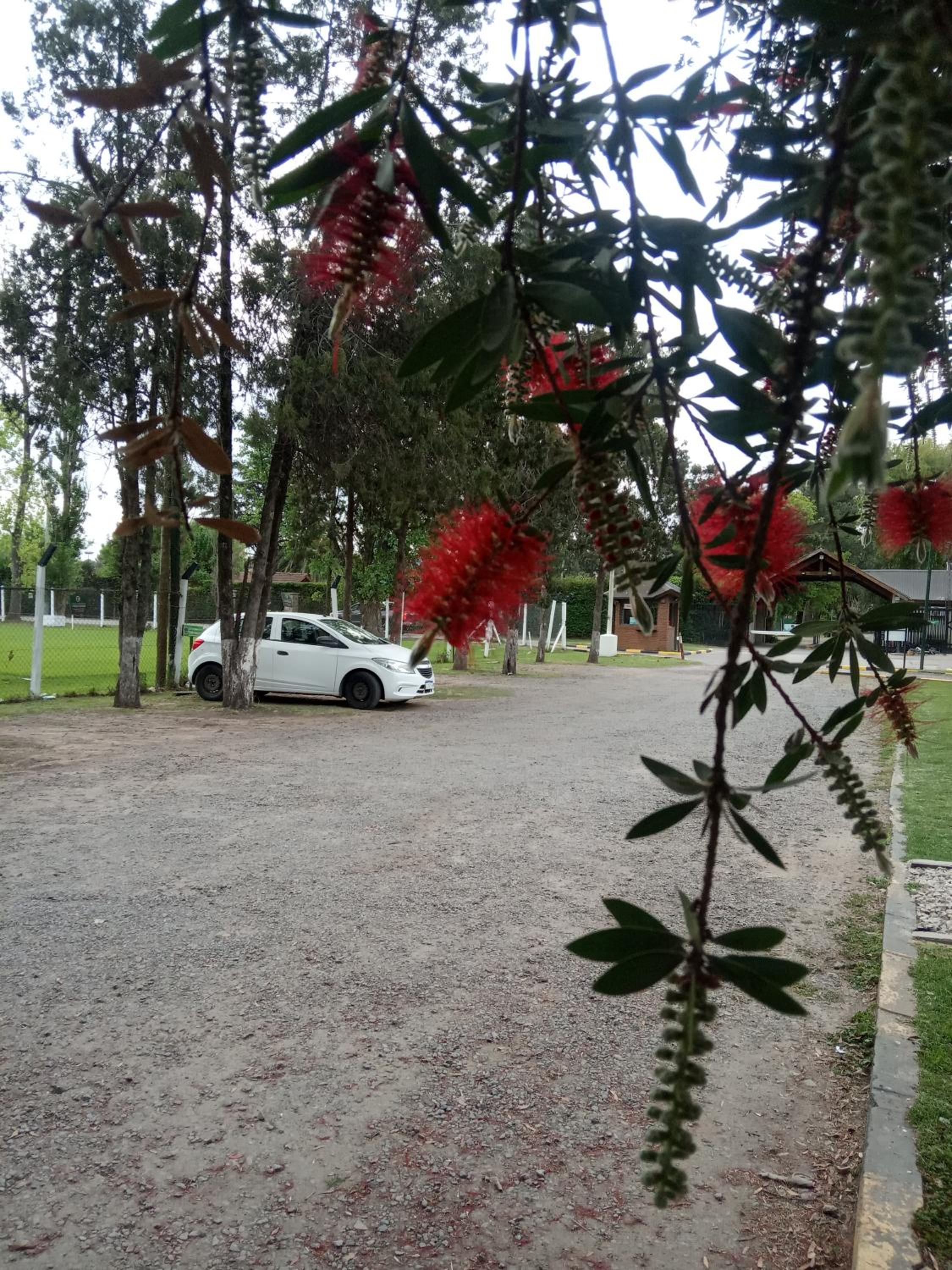 Country Las Lajas - Club Privado