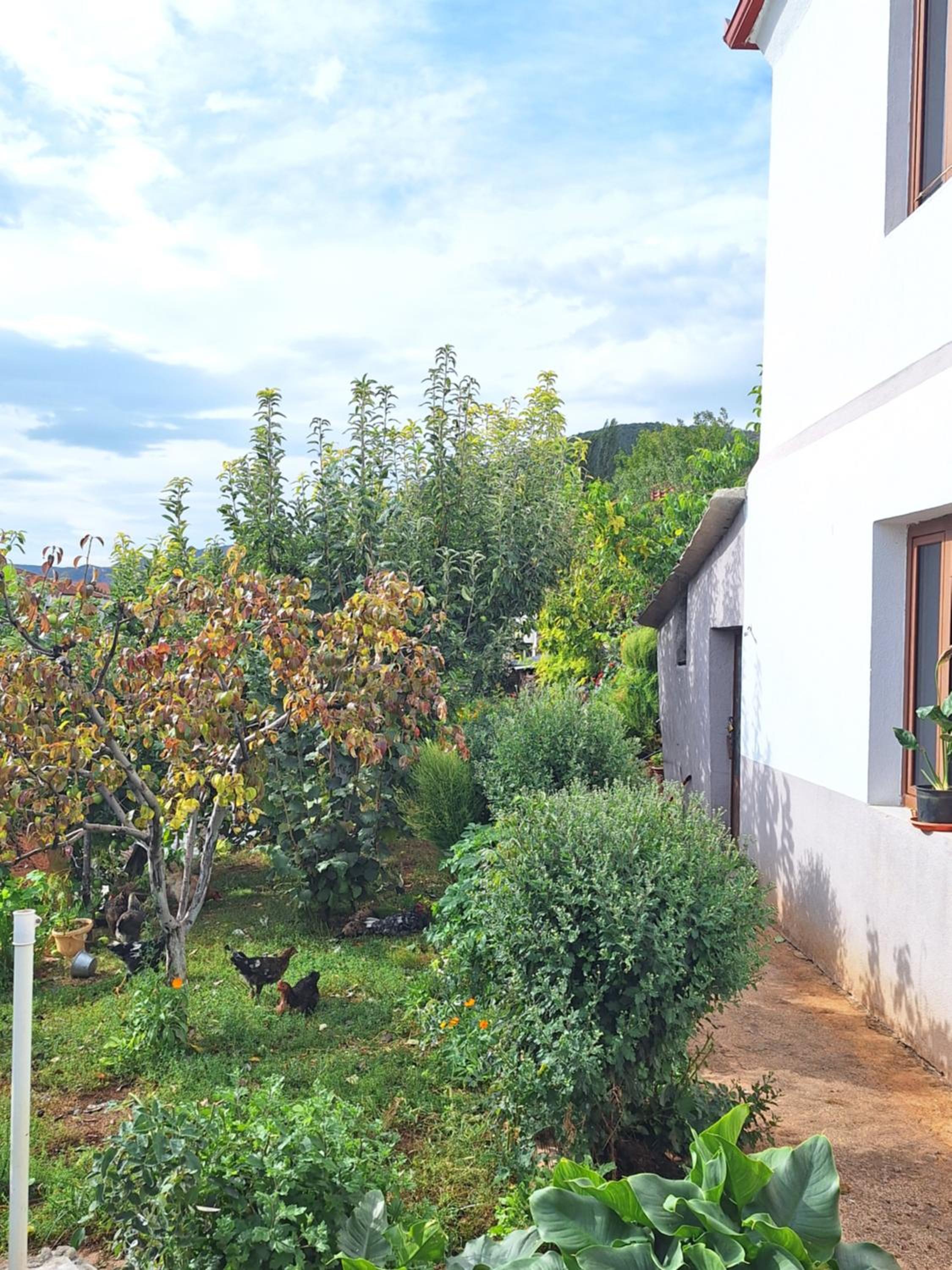 Taku Villa Wonderful view of Lake Ohrid