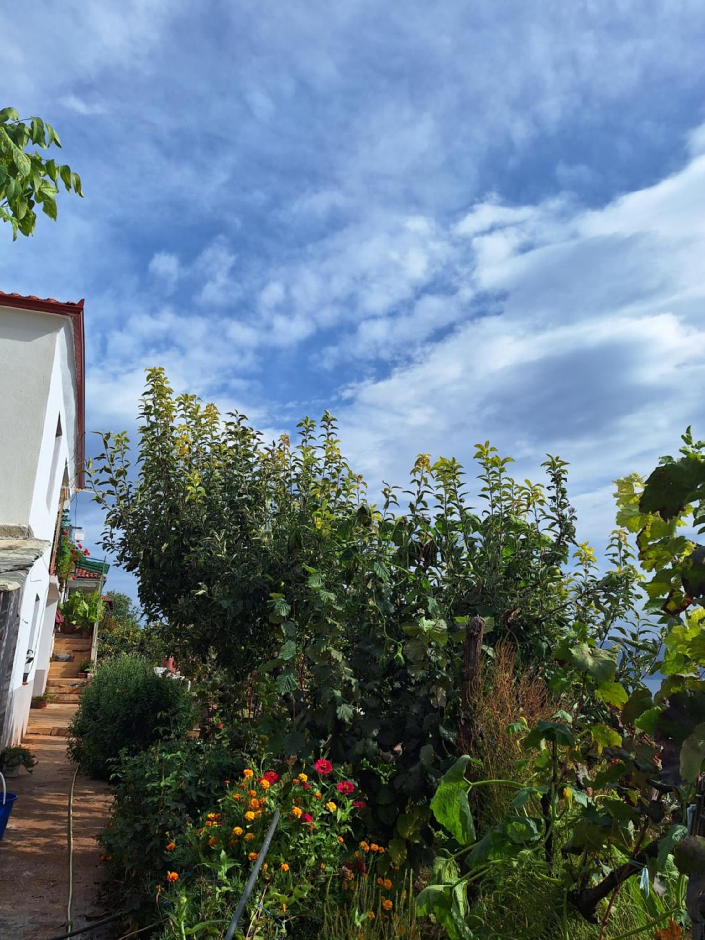 Taku Villa Wonderful view of Lake Ohrid