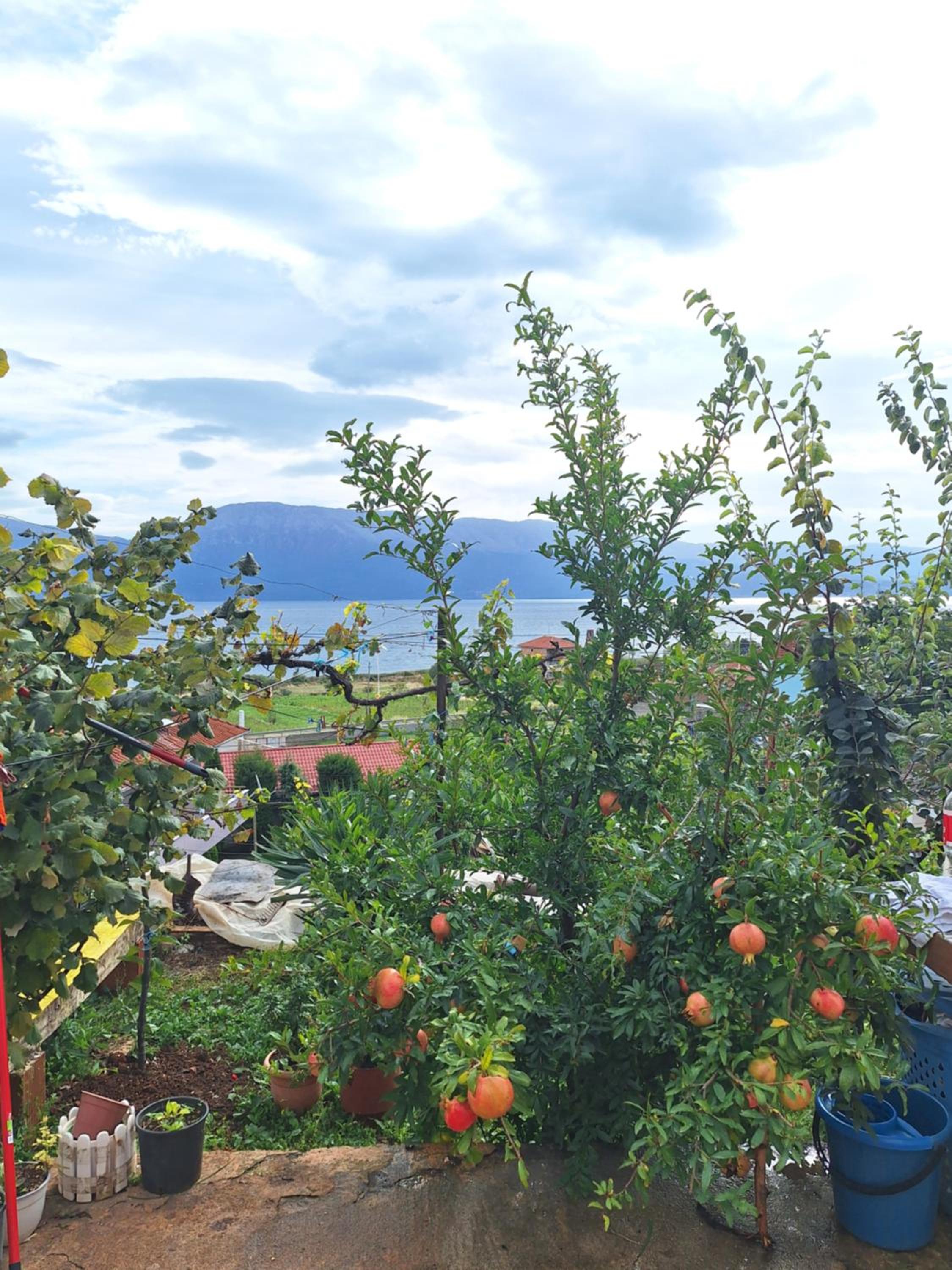Taku Villa Wonderful view of Lake Ohrid