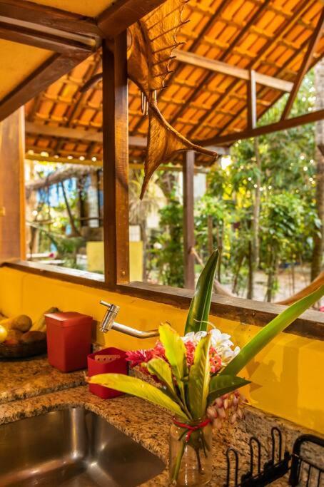 Casa Amarela Barra Grande Bahia