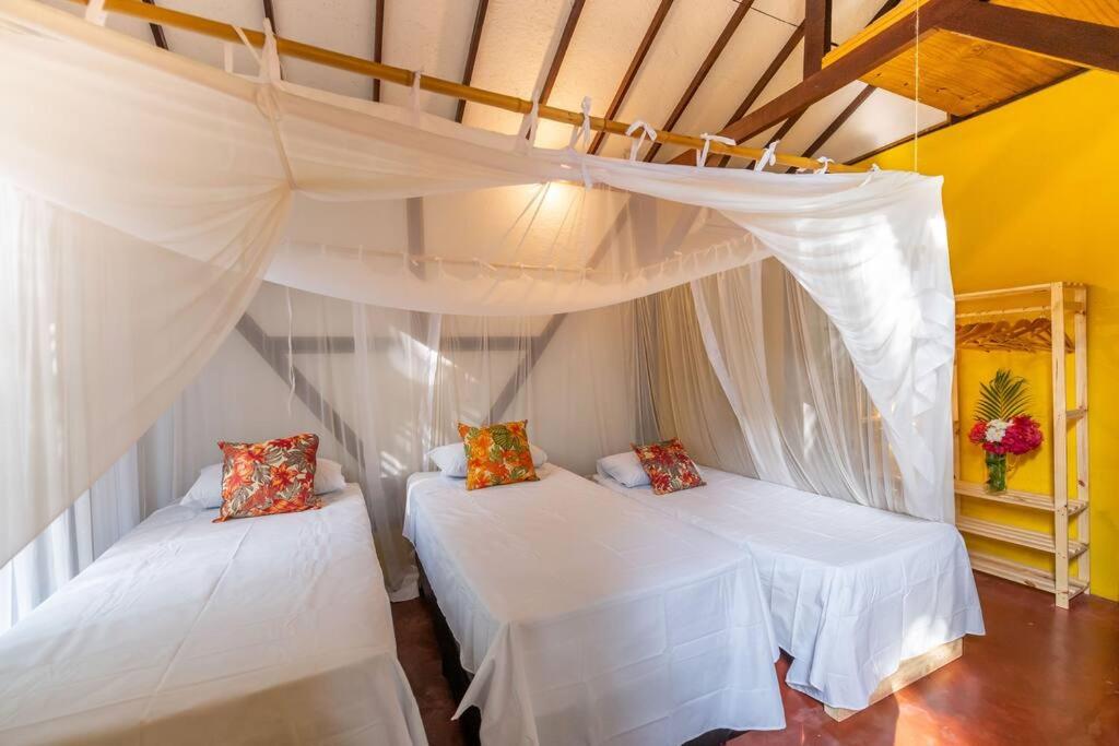 Casa Amarela Barra Grande Bahia