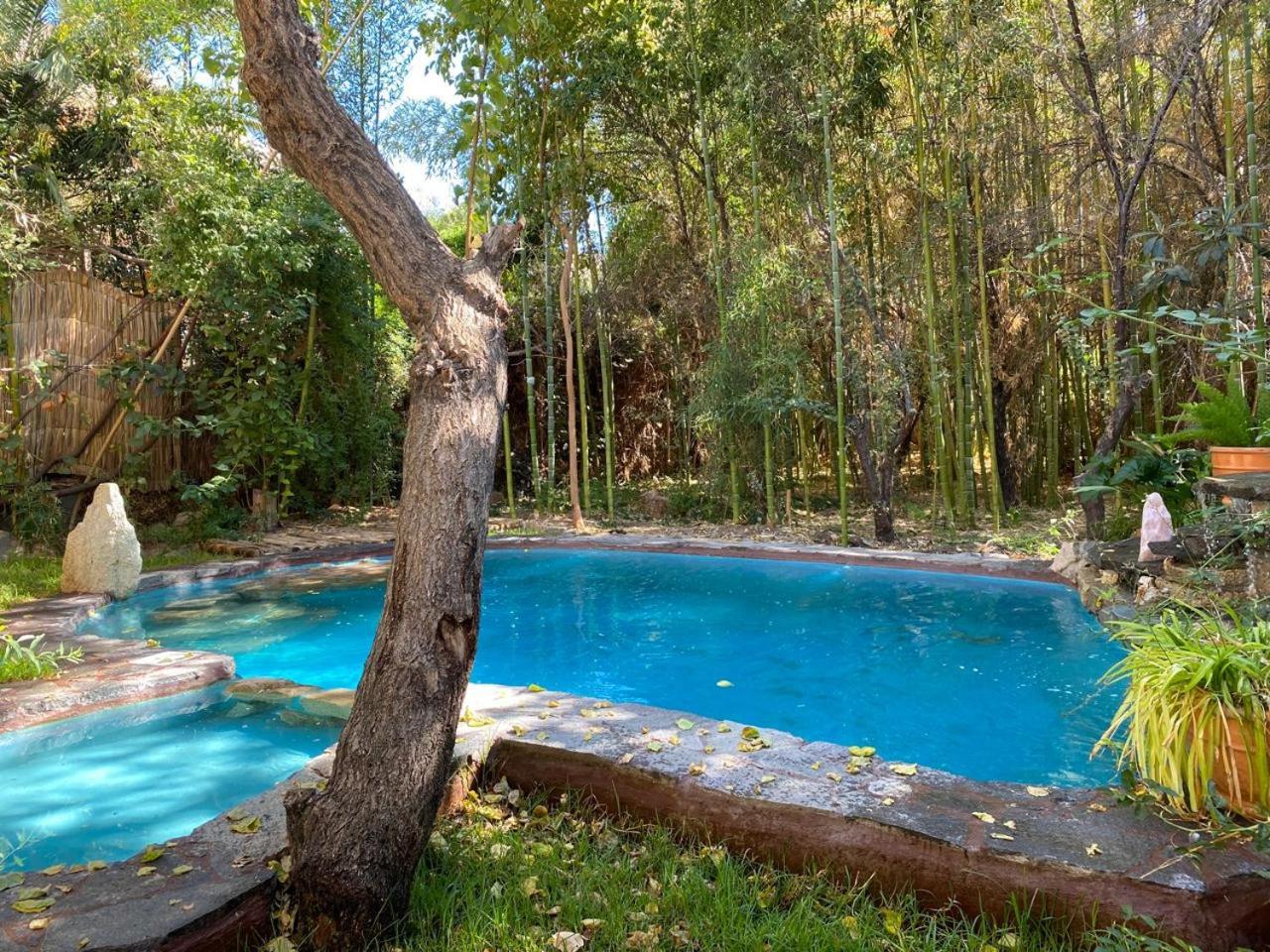 Elquihostel