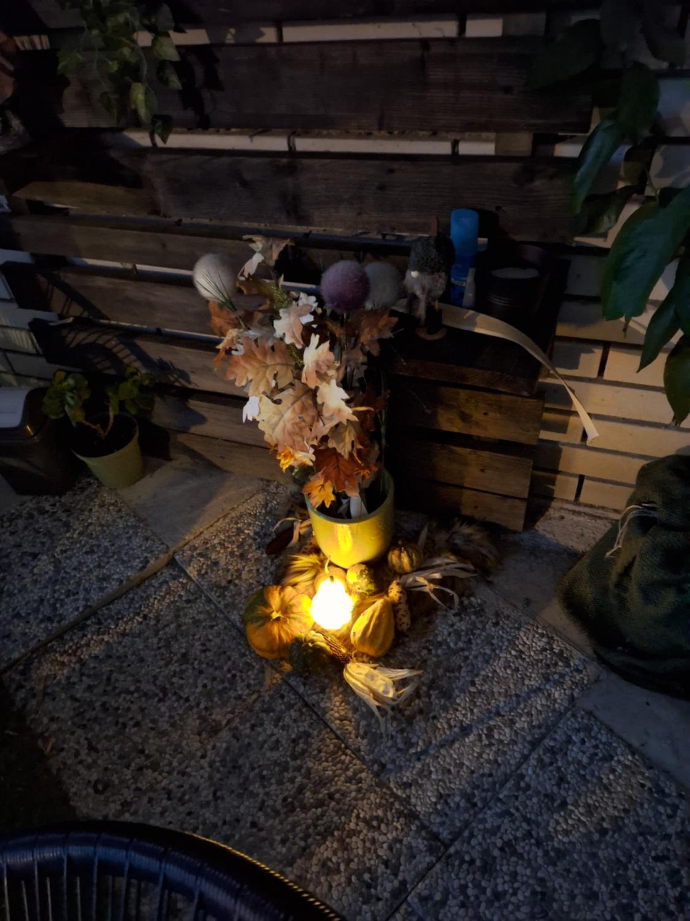 Photo 31