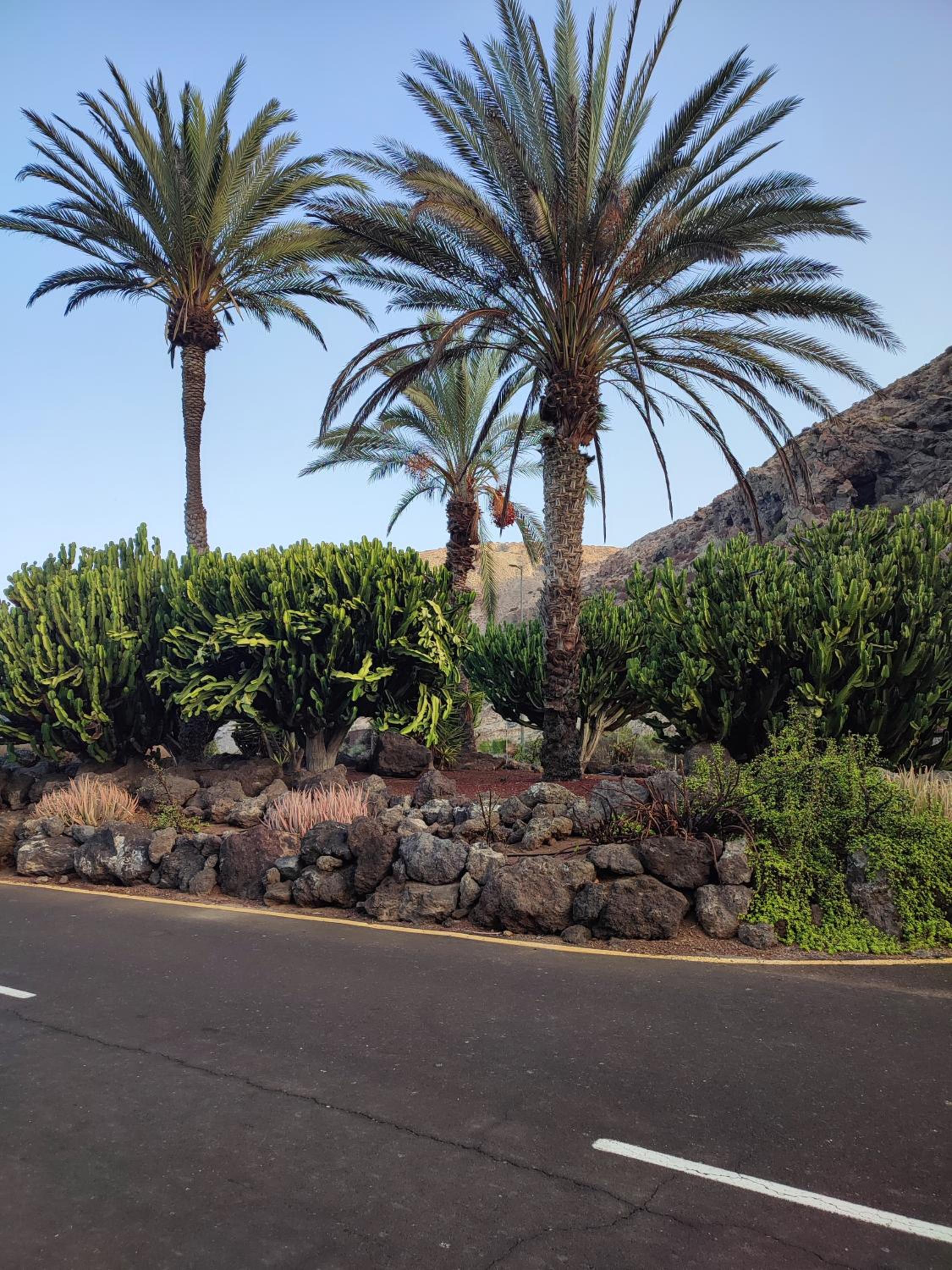 Margherita House Tenerife, Wonderful Ocean View