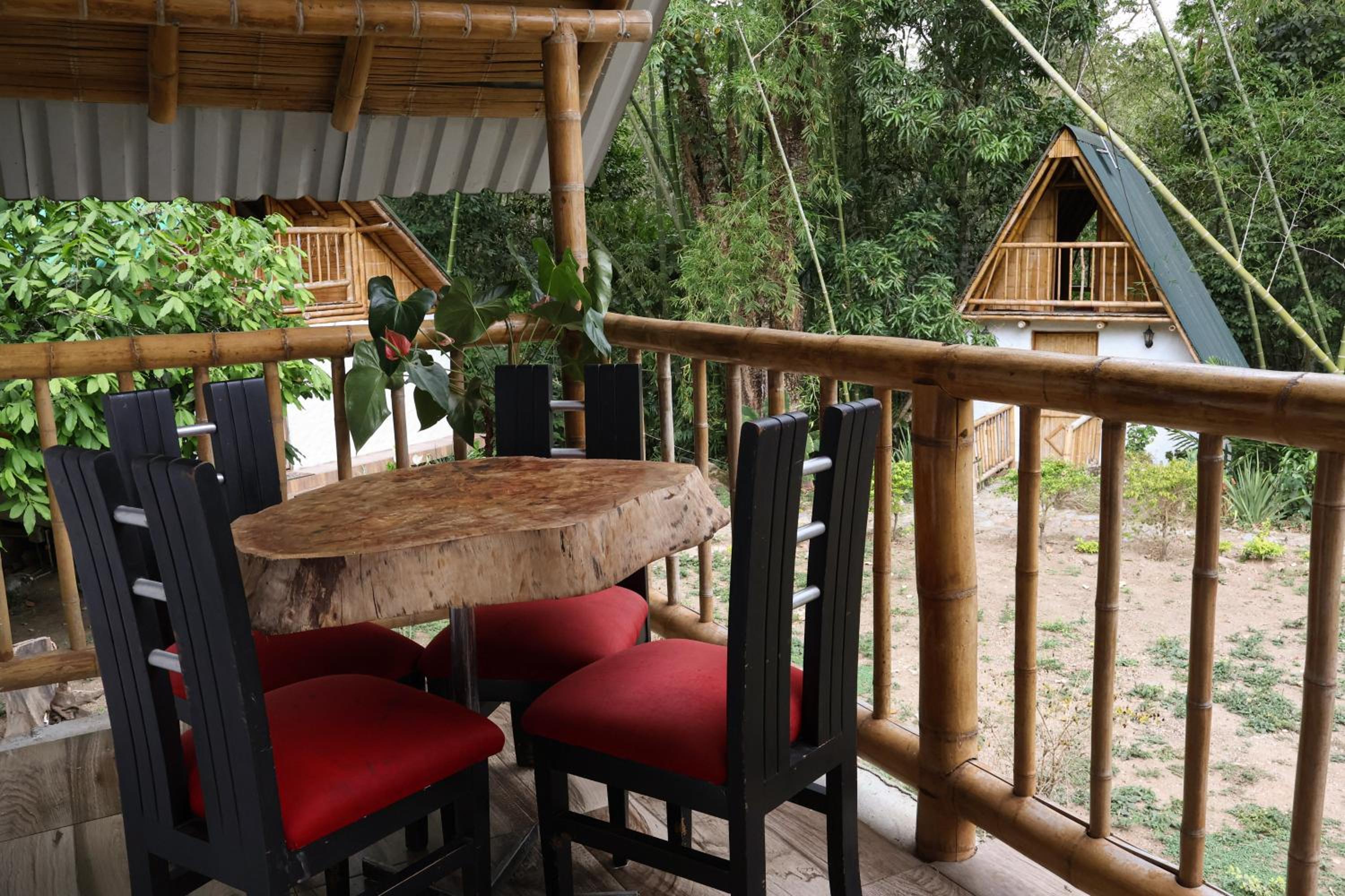 Alojamiento rural Ecoparque La Motilona Paicol, Huila - Cabaña Colibrí