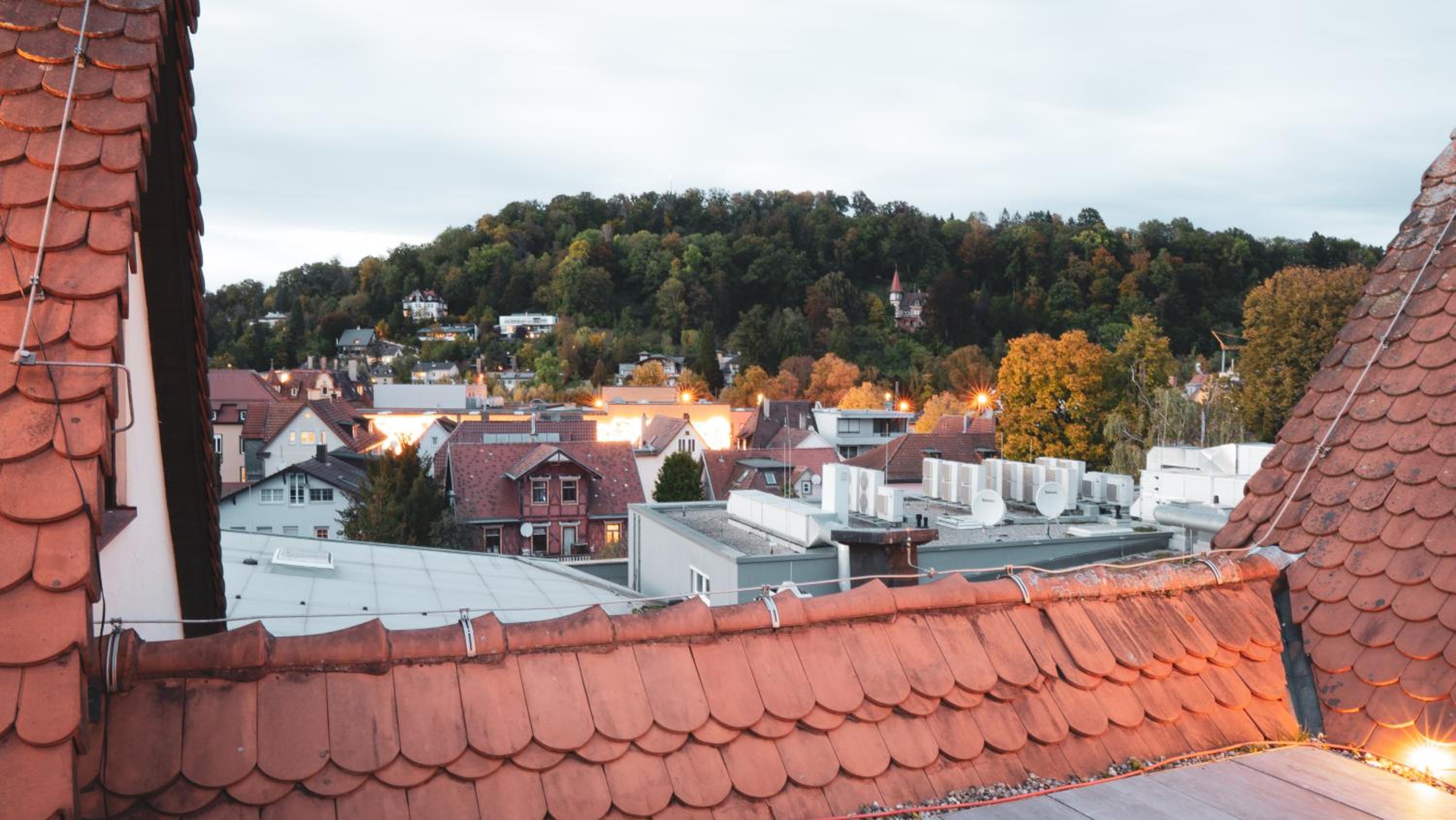 roof