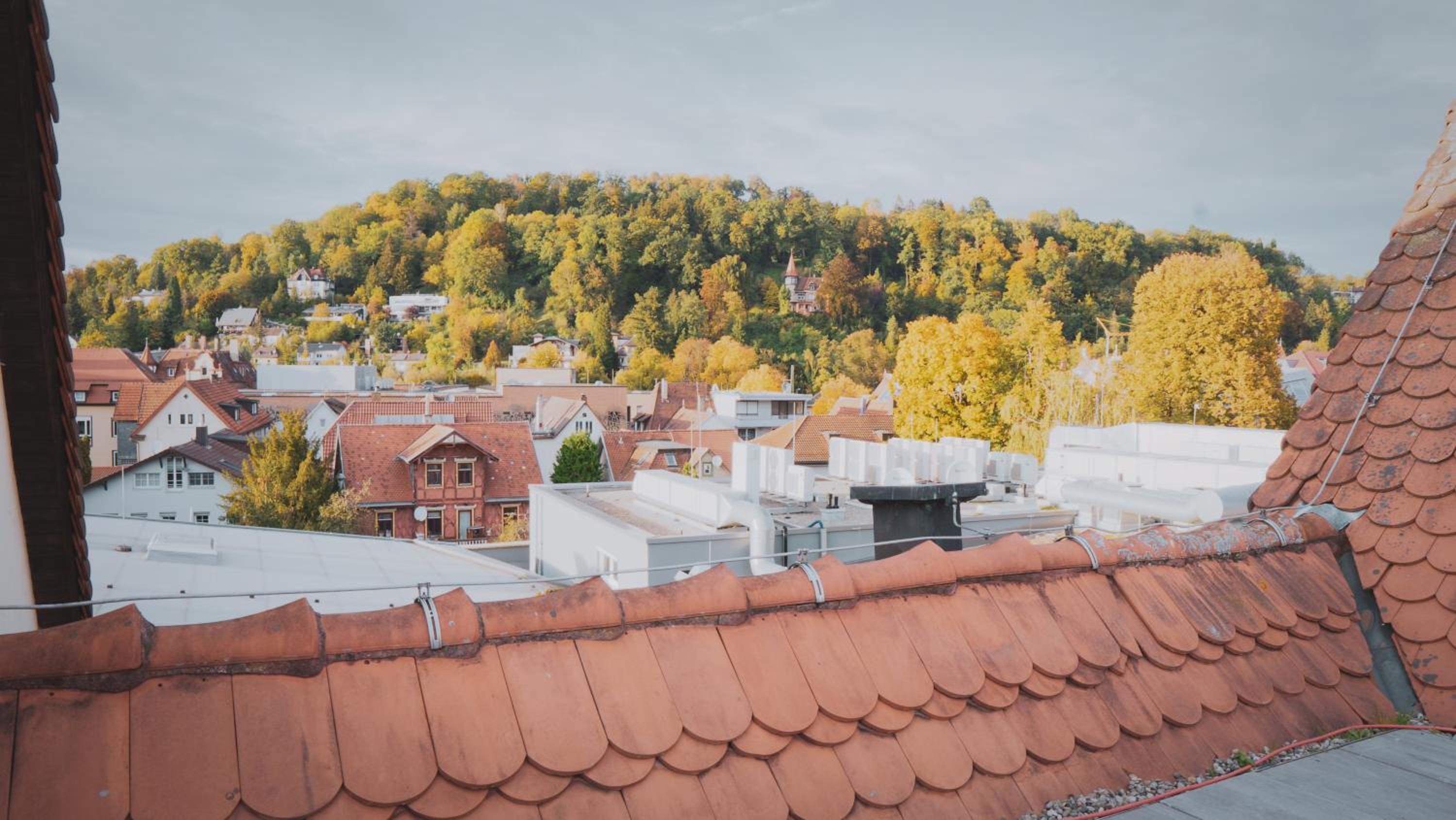 roof