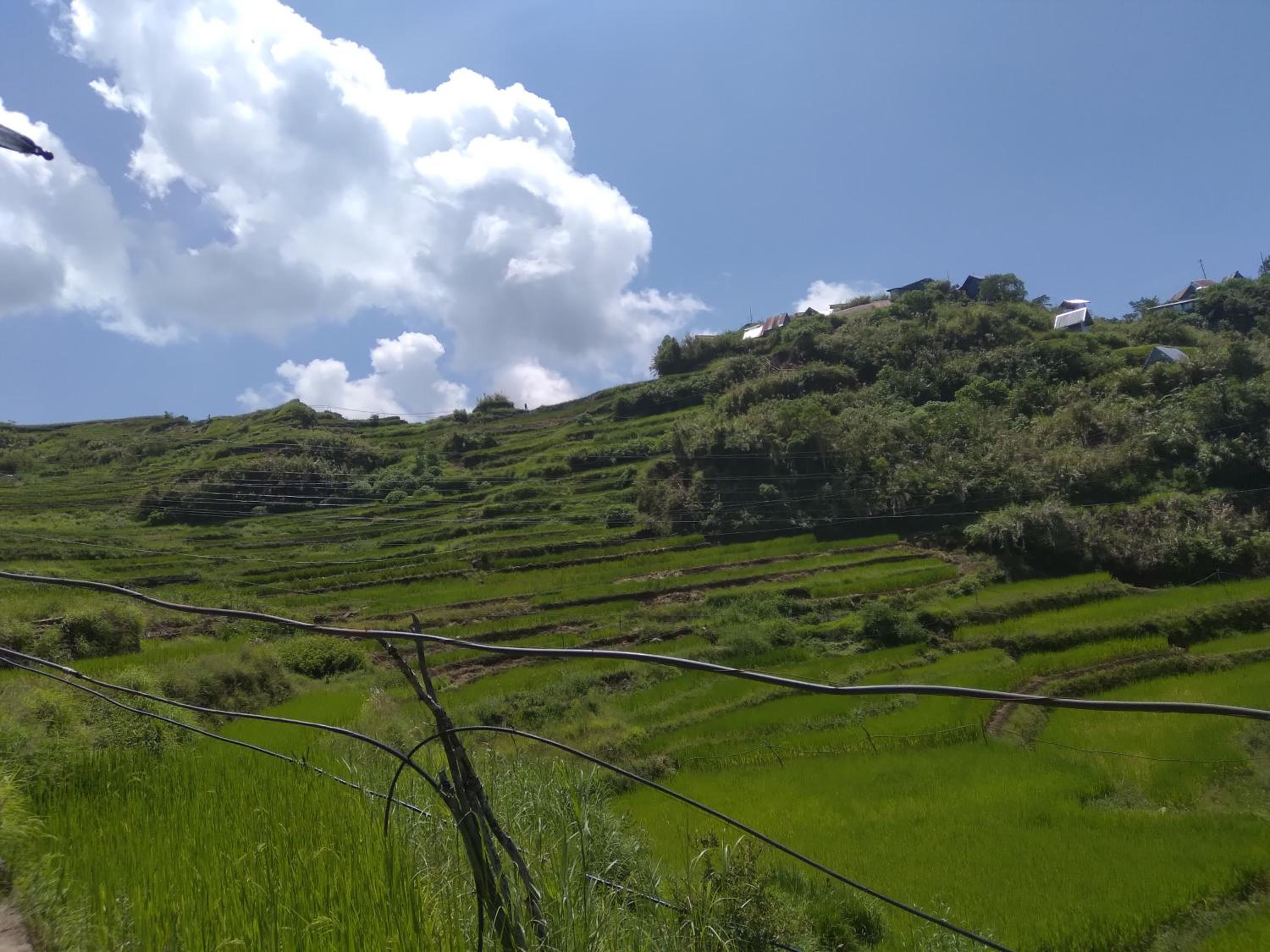 Rowena's Maligcong Homestay view 3